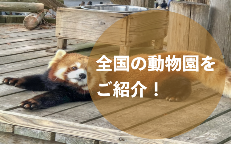 全国の動物園をご紹介！